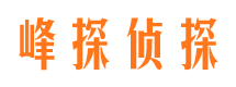 定远市婚外情调查